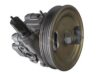SPIDAN 54653 Hydraulic Pump, steering system